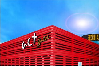 act gold長浜 ドラゴン・ファルコン